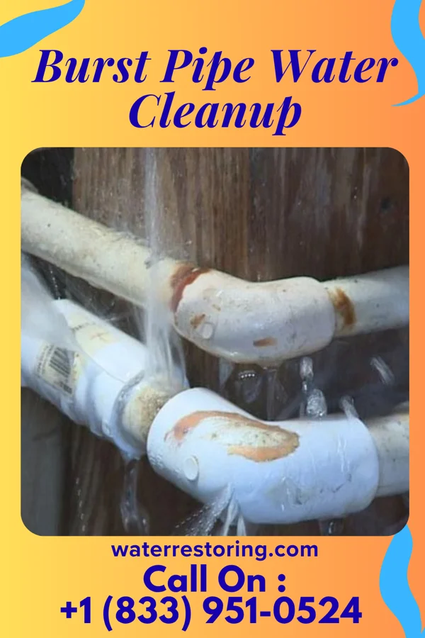Burst Pipe Water Cleanup in Marksboro, NJ