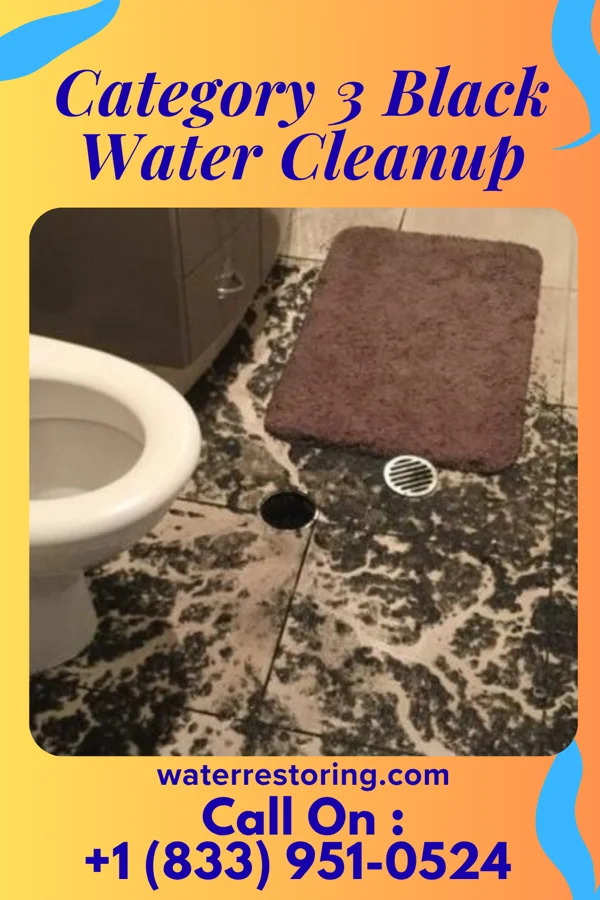 Category 3 Black Water Cleanup in Marksboro, NJ