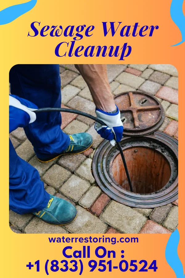 Sewage Water Cleanup in Marksboro, NJ